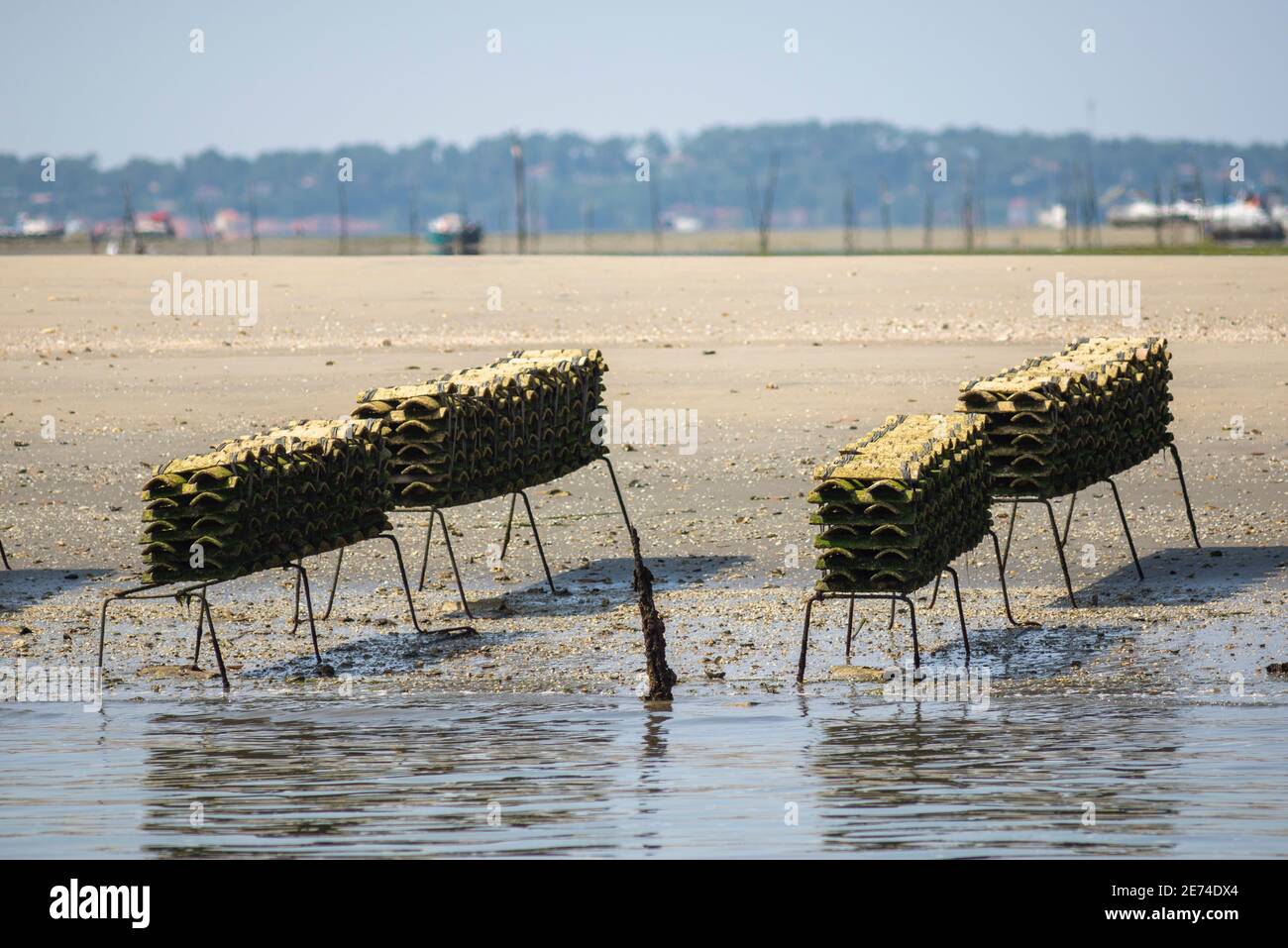 Oyster farming structures in the Bassin d'Arcachon, Gironde, France, Europe. With low tide in the Atlantic Ocean, structures come out of the water Stock Photo