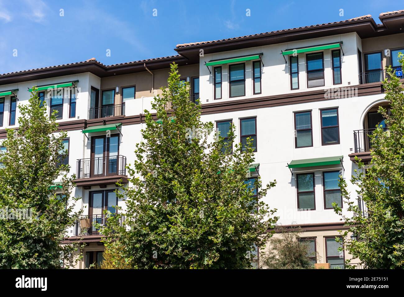 Illustration of Luxury Apartment Buildings San Francisco