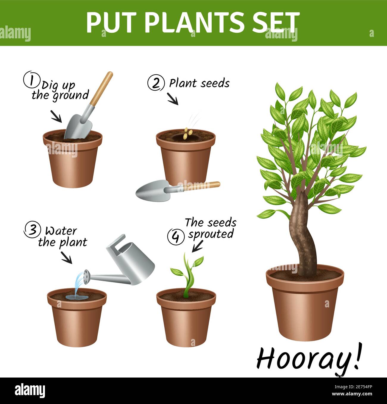 Putting and growing plants instruction with pots water and seeds realistic icons set isolated