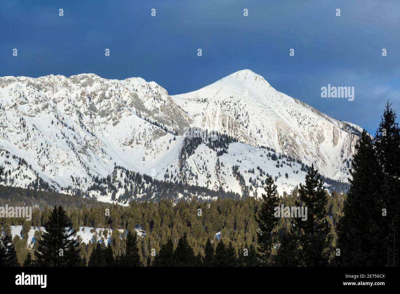 sacagawea peak in winter in the bridger range near bozeman, montana Stock Photo