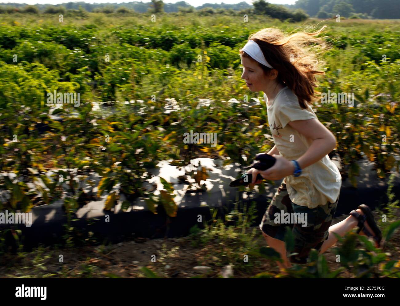 New business model hires stock photography and images Alamy