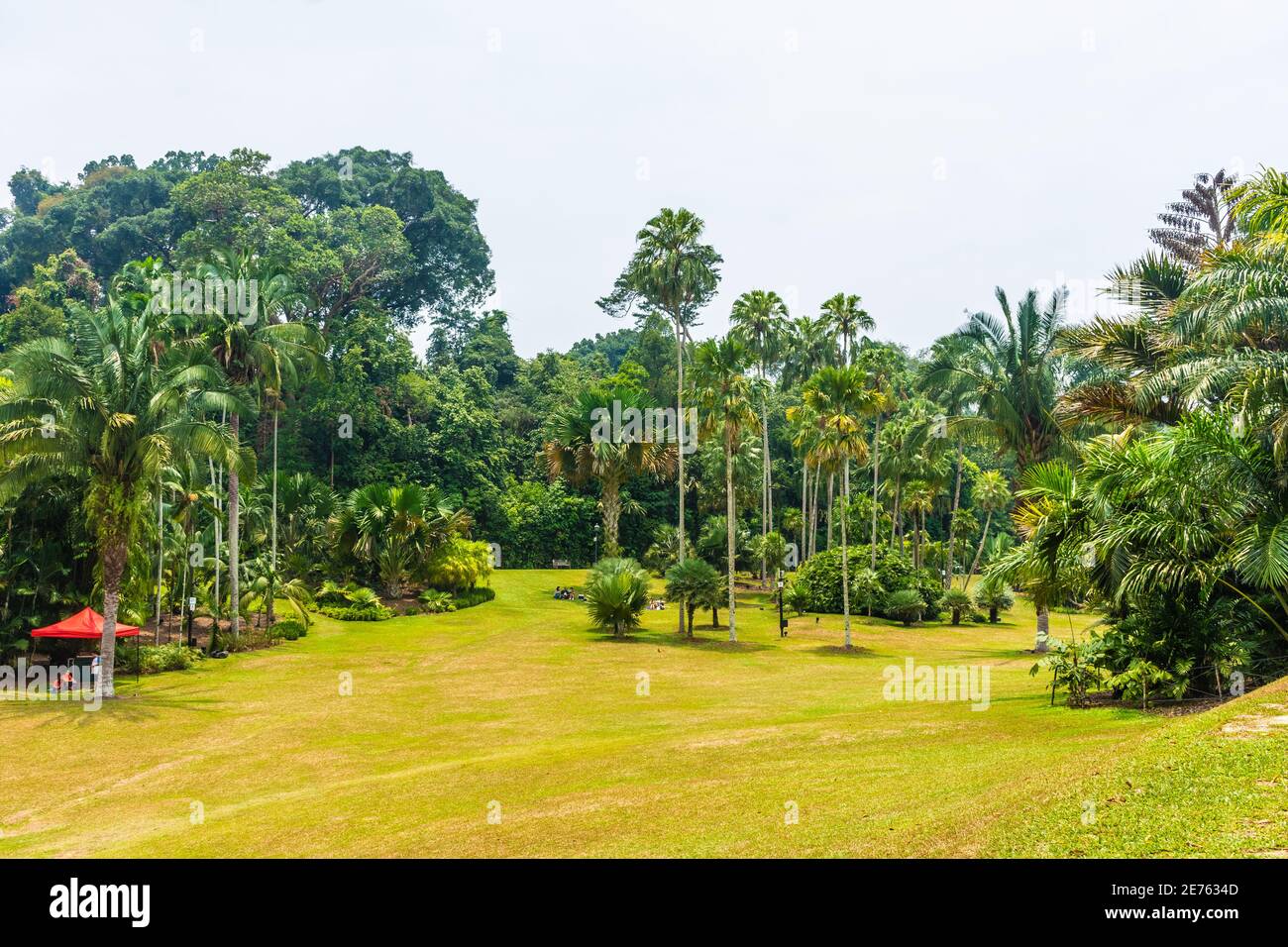 Landscape of Singapore botanic gardens Stock Photo Alamy