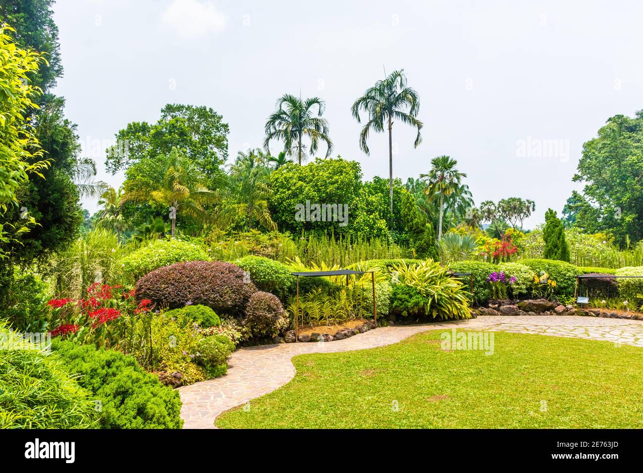 Landscape of Singapore botanic gardens Stock Photo - Alamy