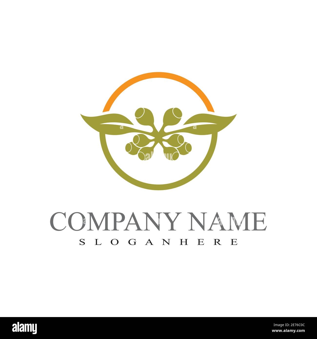 Eucalyptus leaves logo vector template design illustration Stock Vector