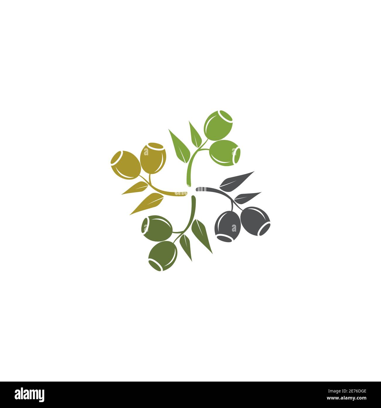 Eucalyptus leaves logo vector template design illustration Stock Vector