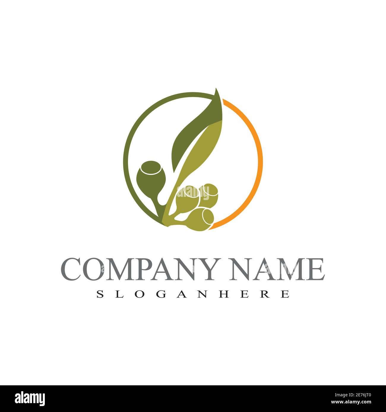 Eucalyptus leaves logo vector template design illustration Stock Vector