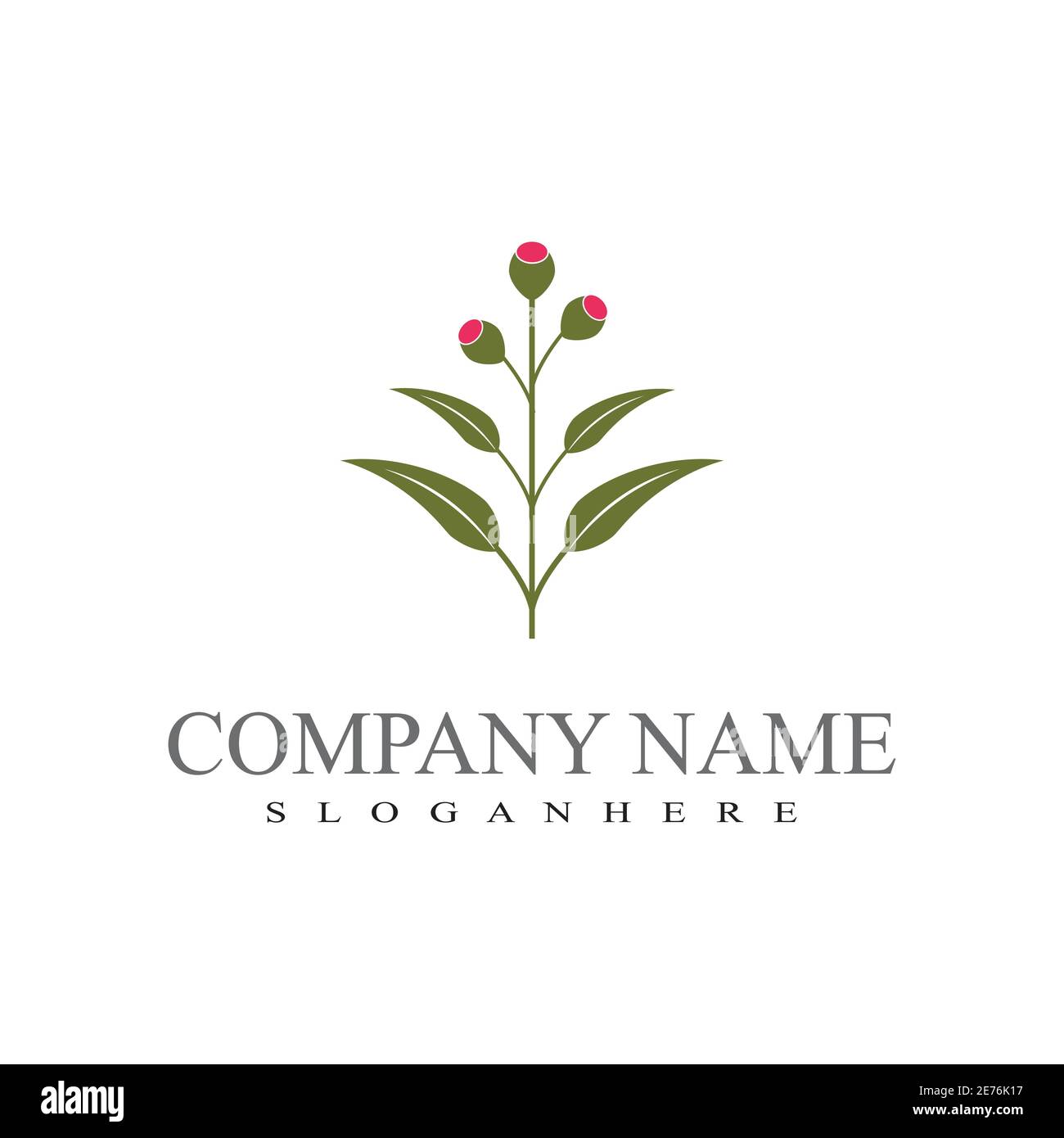 Eucalyptus leaves logo vector template design illustration Stock Vector