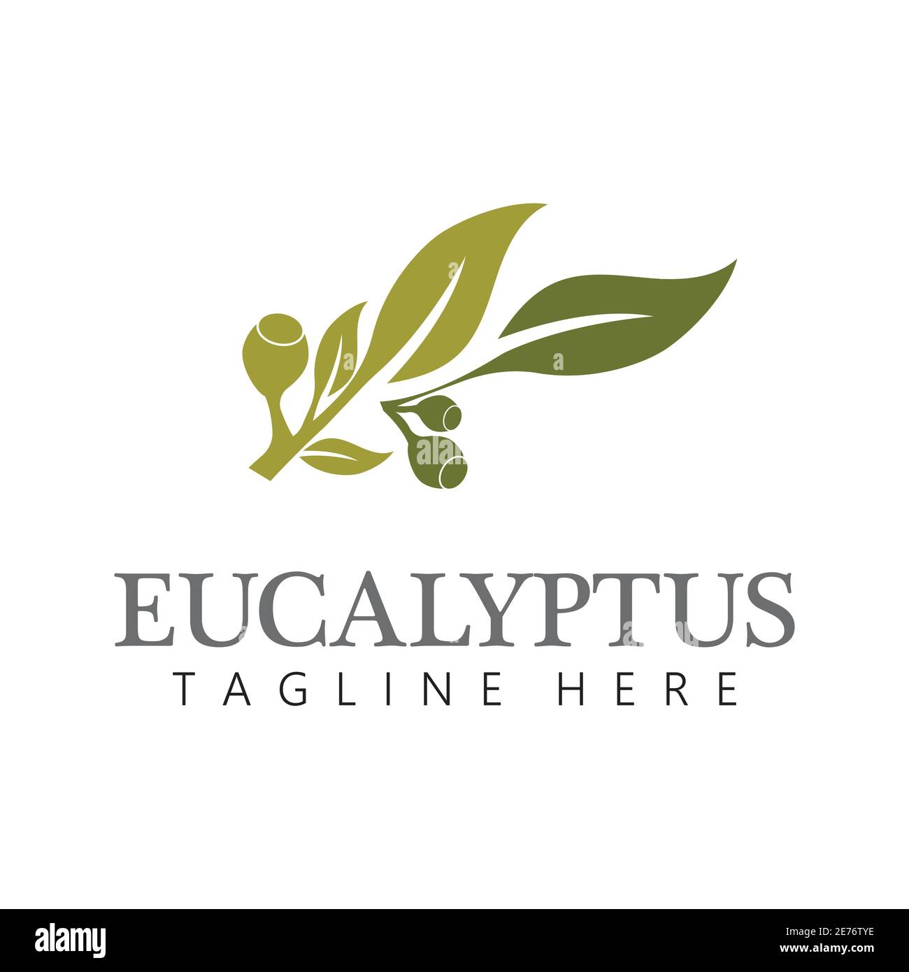 Eucalyptus leaves logo vector template design illustration Stock Vector