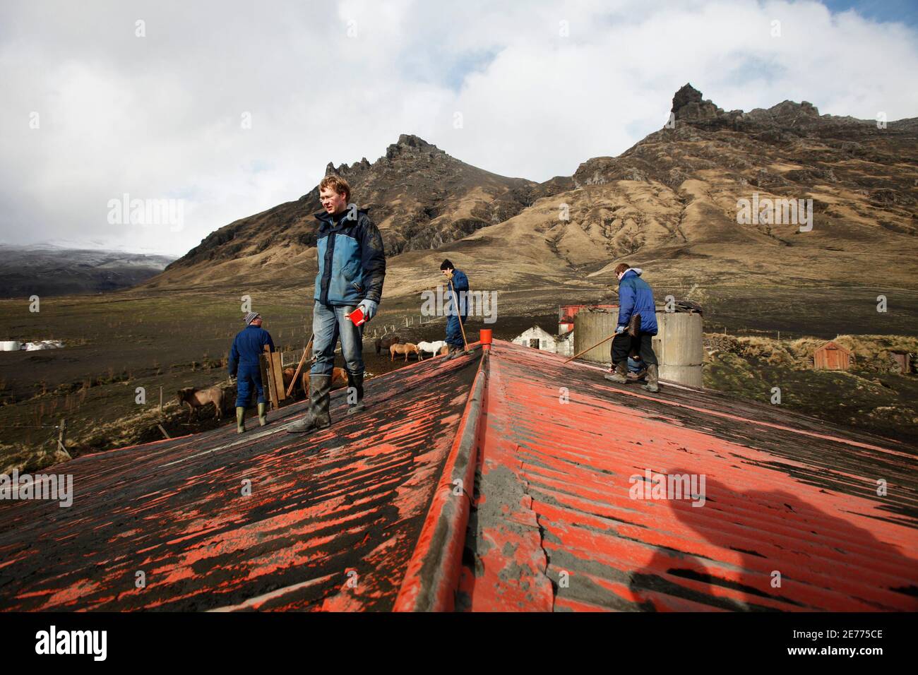 Farmers (from L to R) Bjarni Thorvaldsson, Benedikt Eythorsson, Hans Thorvaldsson and Thorgrimur Bjarnason walk off a roof after cleaning off volcanic ash that accumulated on a barn from an erupting volcano near Eyjafjallajokull April 18, 2010. REUTERS/Lucas Jackson (ICELAND - Tags: DISASTER ENVIRONMENT) Stock Photo