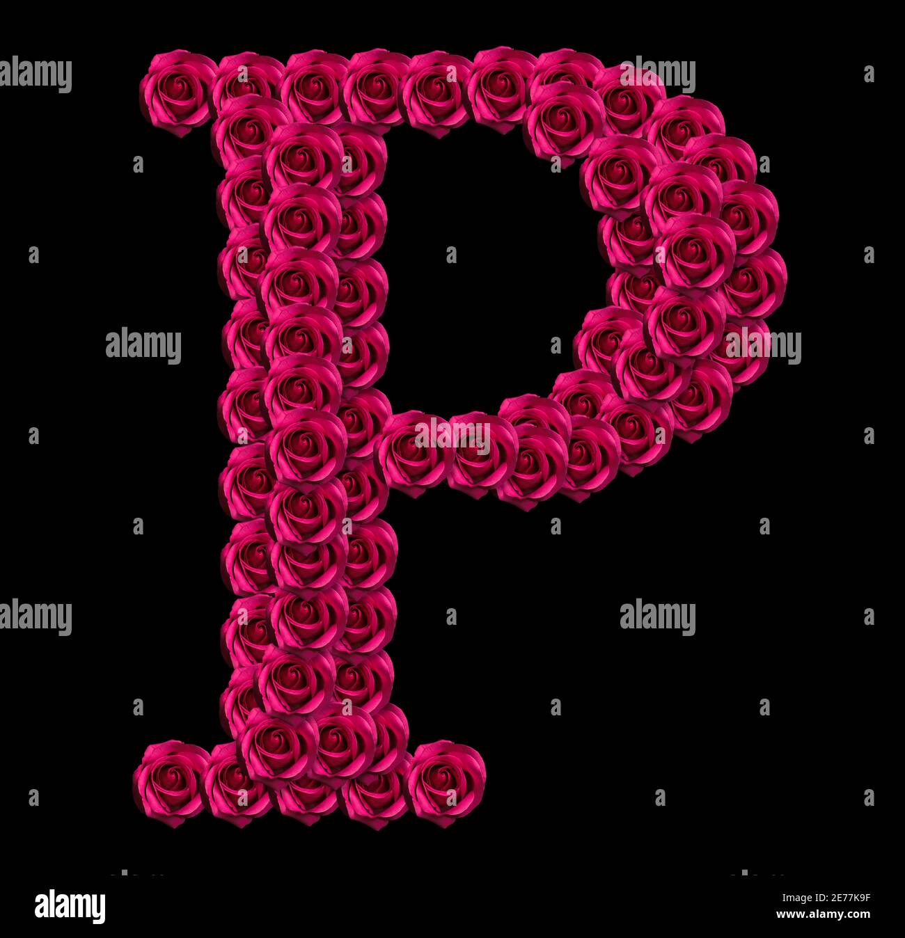 romantic concept image of a capital letter P made of red roses. Isolated on black background. Design element for love or valentines themes Stock Photo
