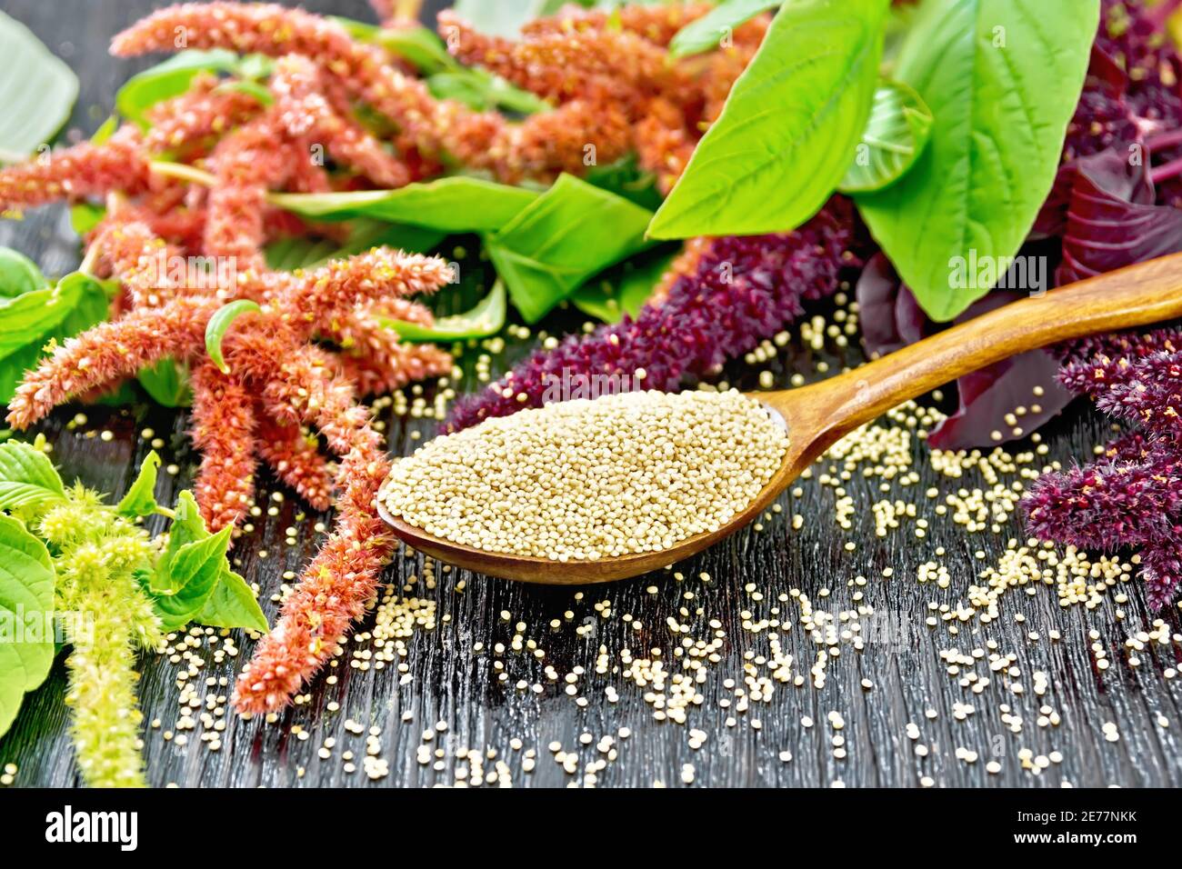 Amaranth groats in a spoon, burgundy, green and red inflorescences with leaves on a wooden board background Stock Photo