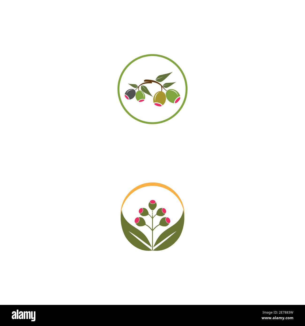 Eucalyptus leaves logo vector template design illustration Stock Vector