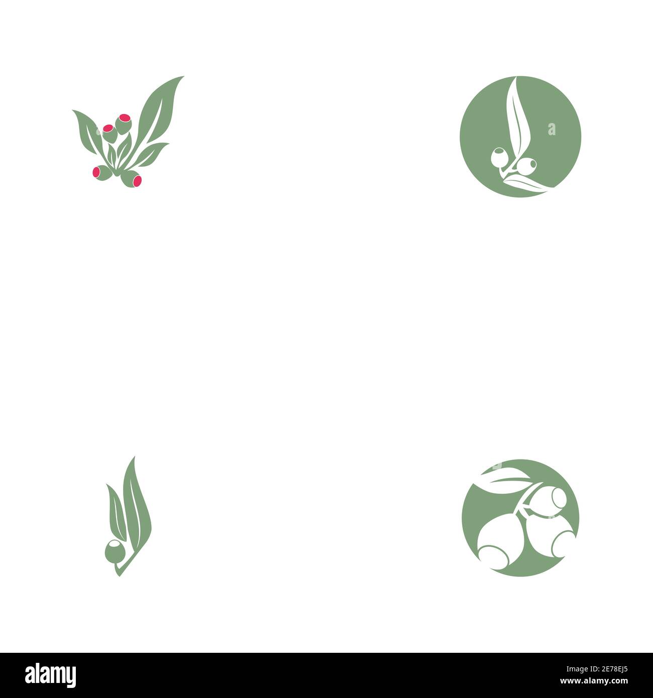Set Eucalyptus leaves logo vector template design illustration Stock Vector