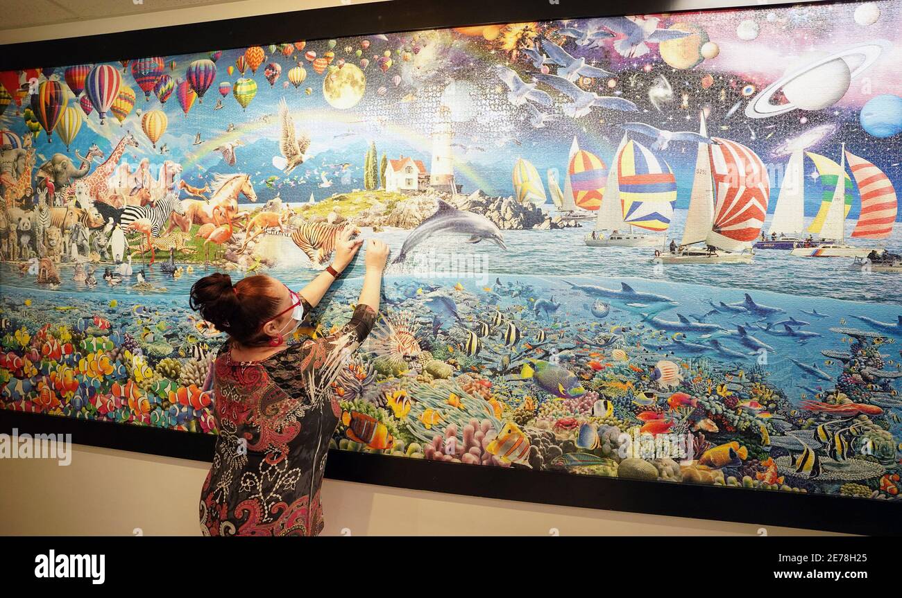 orden tema mesa Kirkwood, United States. 29th Jan, 2021. Worker Bianca Amaya checks a  puzzle piece on the 24 thousand piece life puzzle assembled on the wall, at  Puzzle Warehouse in Kirkwood, Missouri on National