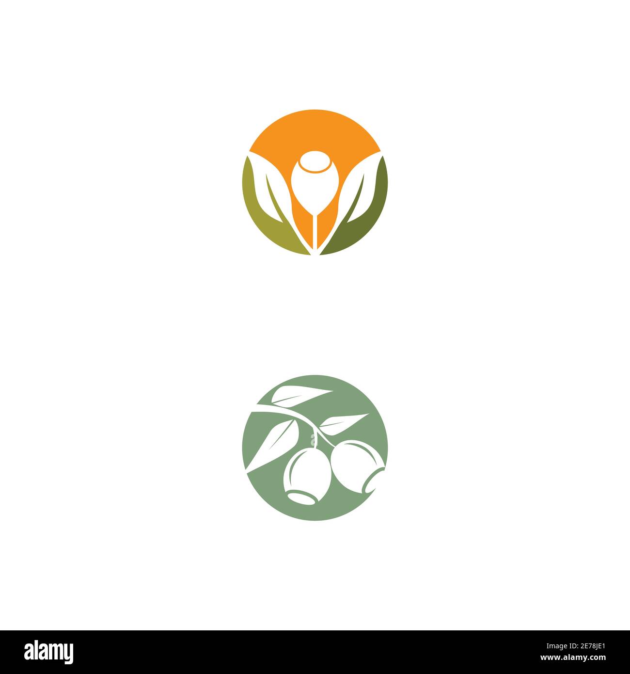 Eucalyptus leaves logo vector template design illustration Stock Vector