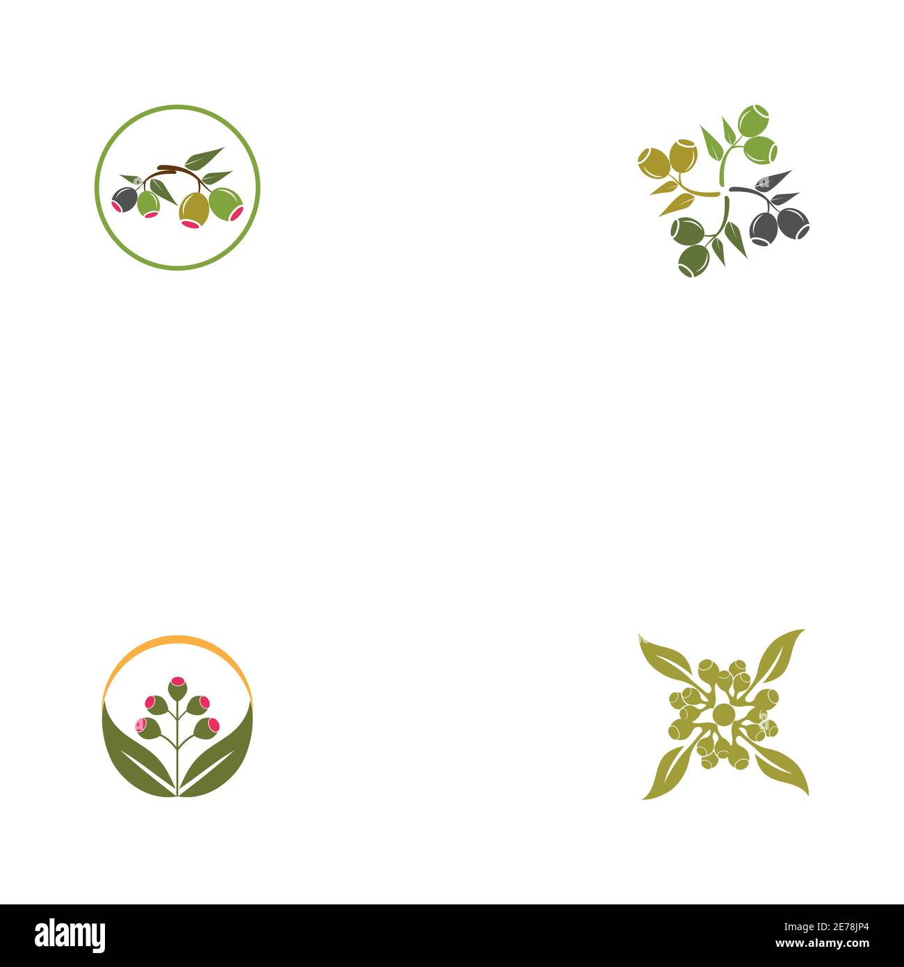 Set Eucalyptus leaves logo vector template design illustration Stock Vector