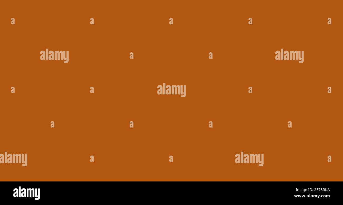 True Bronze Color True Bronze color Background. True color tone. Abstract color ...