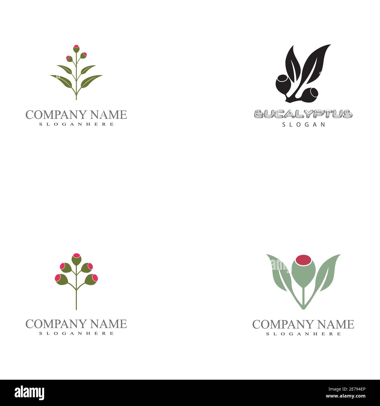 Set Eucalyptus leaves logo vector template design illustration Stock Vector