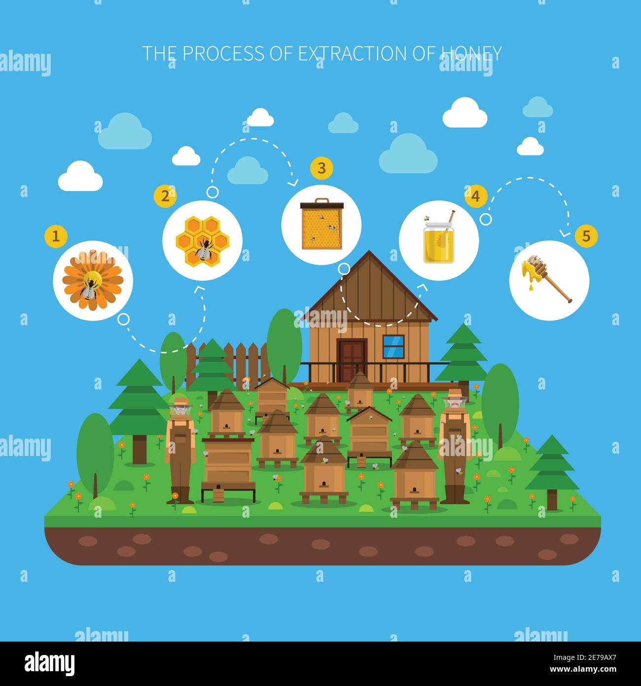 Process of honey extraction concept with several steps on blue