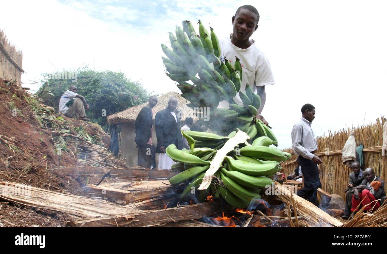 A loyalist prepares green bananas for a meal ahead of the coronation