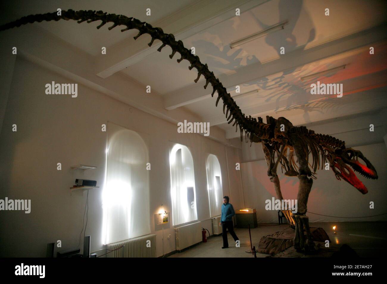 Giganotosaurus High Resolution Stock Photography and Images Alamy