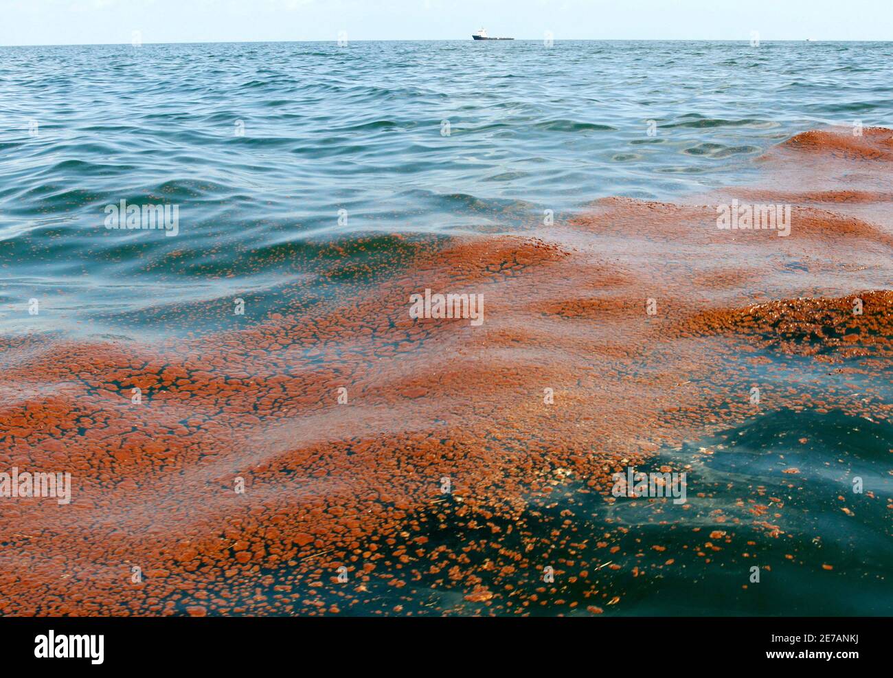 A band of oil floats in the water near Freemason Island from the BP oil spill off the coast of Louisiana May 7, 2010.    REUTERS/Rick Wilking (UNITED STATES - Tags: ENVIRONMENT DISASTER BUSINESS) Stock Photo