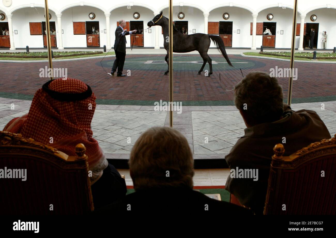 U.S. President George W. Bush (R) and Saudi King Abdullah (L) watch as some of the King's horses are paraded before Bush during his visit to Al Janadriyah Farm in Al Janadriyah, Saudi Arabia  January 15, 2008. The farm is the King Abdullah's  personal country and weekend retreat. Between Bush and the King is a translator.    REUTERS/Kevin Lamarque   (SAUDI ARABIA) Stock Photo