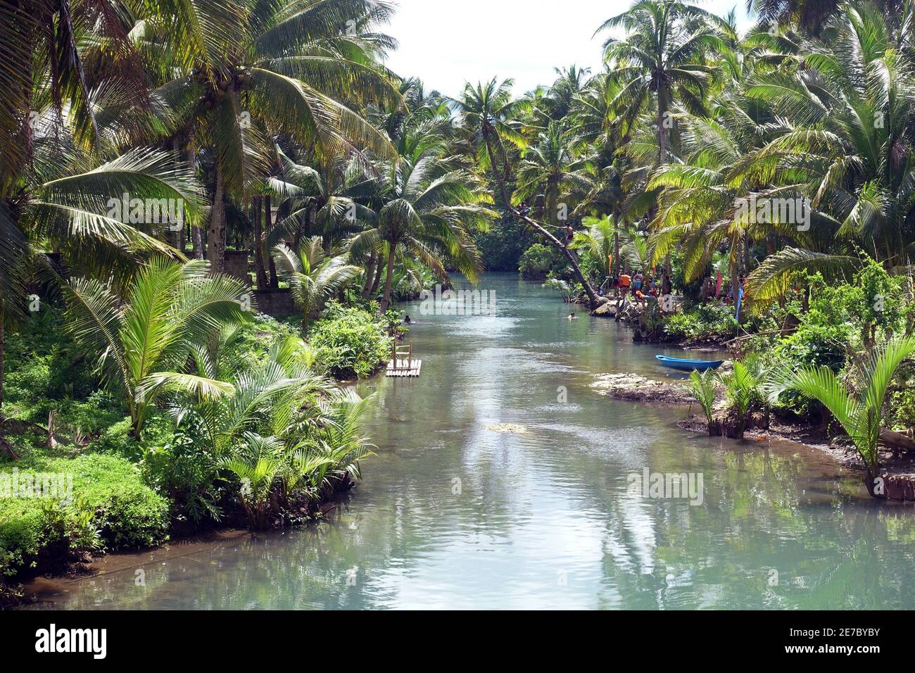 Siargao Philippines Rope Swing at Maasin Secret River Stock Photo Alamy