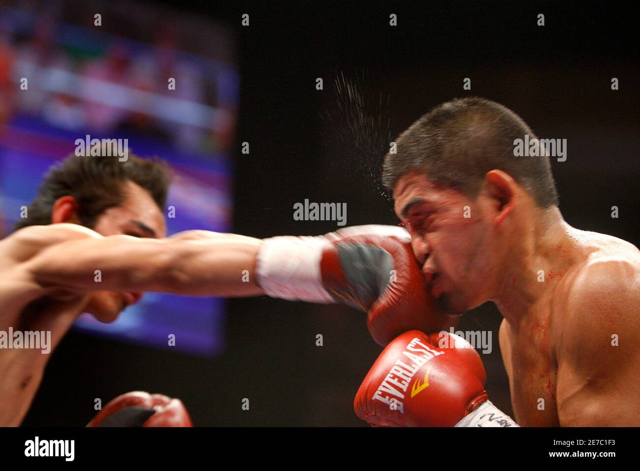 Nonito Donaire (L) of the Philippines lands a punch on Rafael Concepcion of Panama during their interim WBA super flyweight title bout at the Hard Rock Hotel & Casino in Las Vegas, Nevada, August 15, 2009. Donaire won the title by unanimous decision. REUTERS/Steve Marcus (UNITED STATES SPORT BOXING) Stock Photo