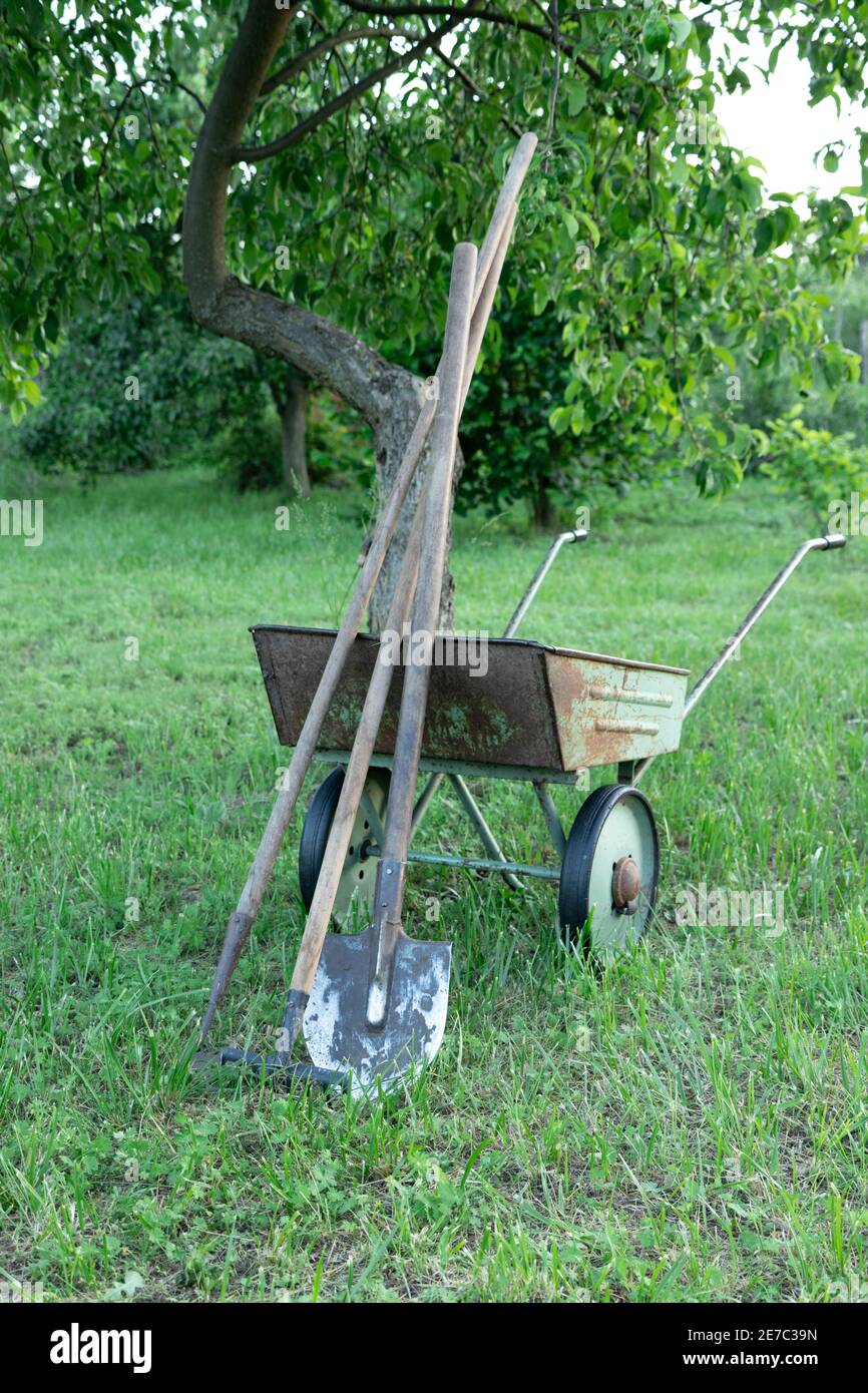 Shovel, leaf rake and wheelbarrow. In the midst of clearing the garden after grass cutting, gardening concept. Stock Photo