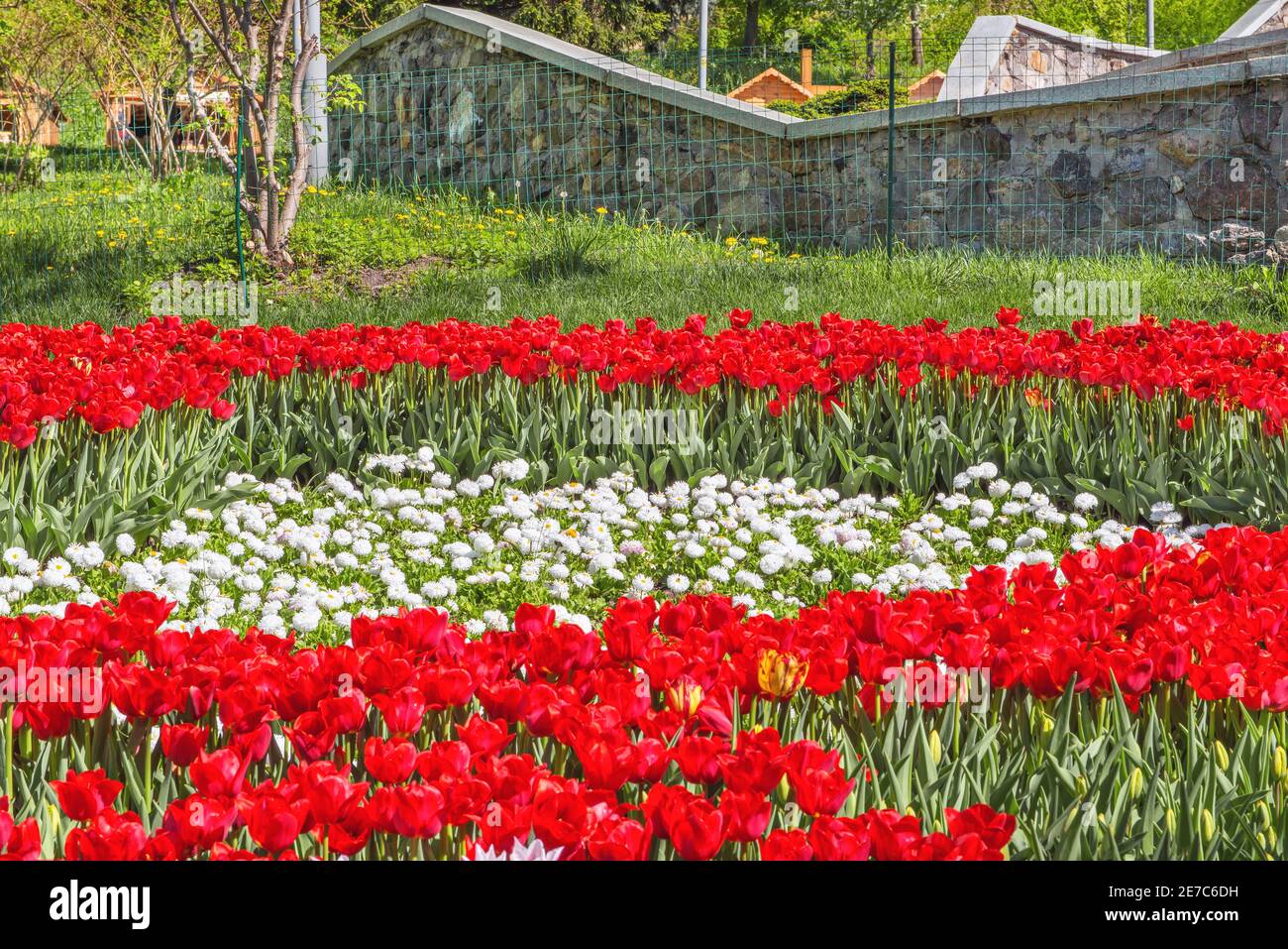 A beautiful flower bed in a recreation park on the song field in the historical center of Kiev near the Kiev-Pechersk Lavra. Stock Photo