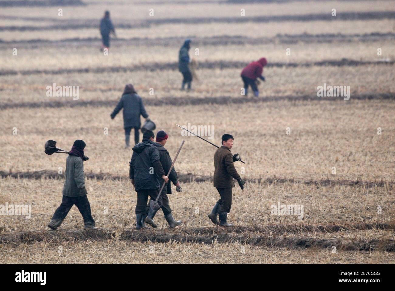 North Koreans walk on a farm field at the North Korean town of Sinuiju, opposite the Chinese border city of Dandong February 25, 2010. North Korea's neighbours and the United States want fresh momentum in trying to restart talks about ending Pyongyang's nuclear arms programme, a U.S. envoy said, while giving no signs of an impending breakthrough. REUTERS/Jacky Chen (NORTH KOREA - Tags: POLITICS MILITARY) Stock Photo