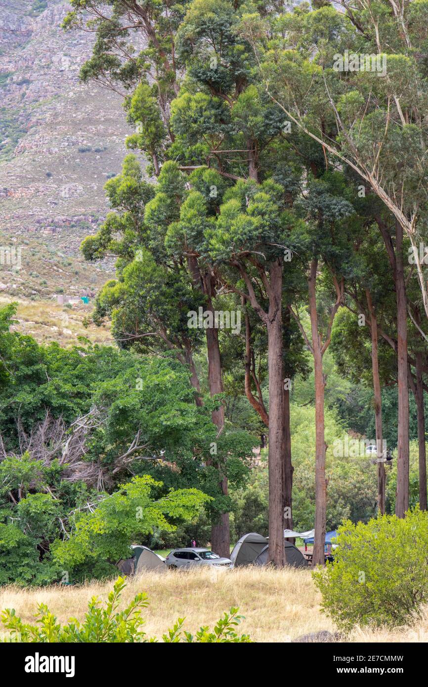 Algeria Wilderness Area, South Africa - chalet family accommodation at this popular recreational destination in the Western Cape Stock Photo