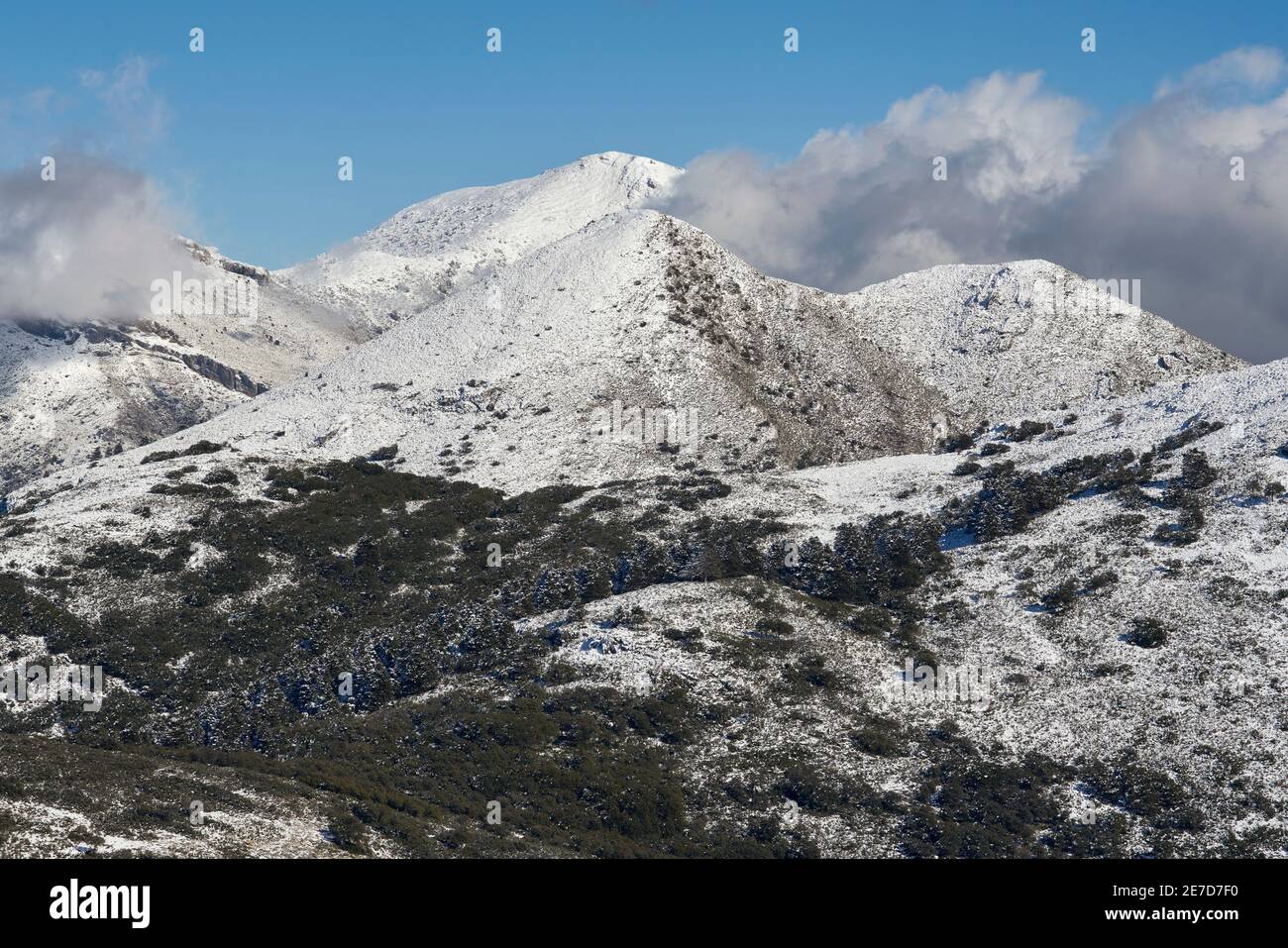 Mount Alcojado and Torrecilla Peak in the Sierra de las Nieves National Park in the municipal district of Igualeja in Ronda, Malaga province. Andalusi Stock Photo