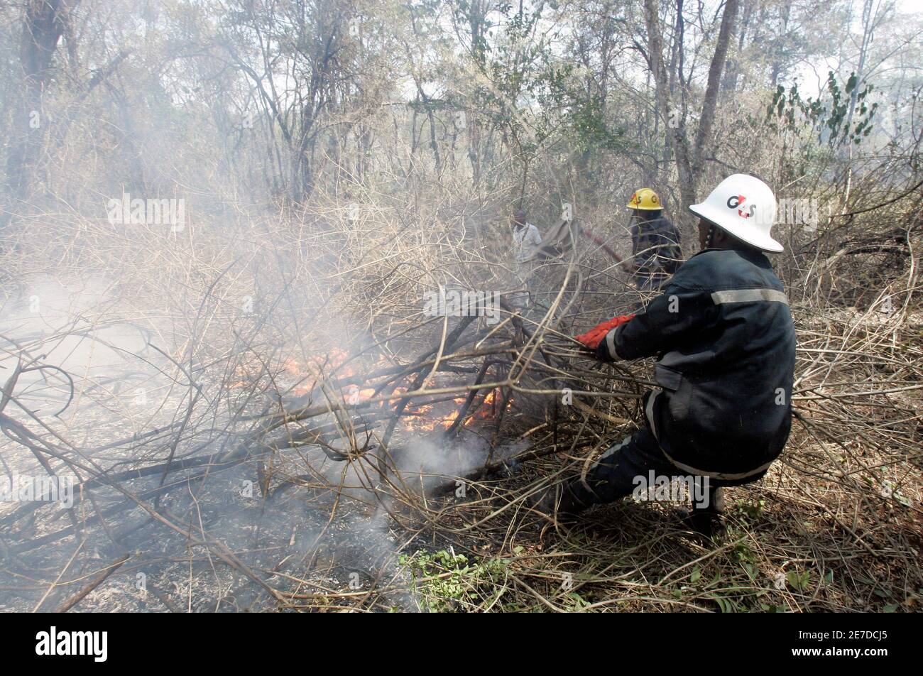 A fireman from a local Kenyan security company pulls branches while trying  to extinguish a fire in Karura forest near the capital Nairobi, March 24,  2009. Kenya is suffering a drought this