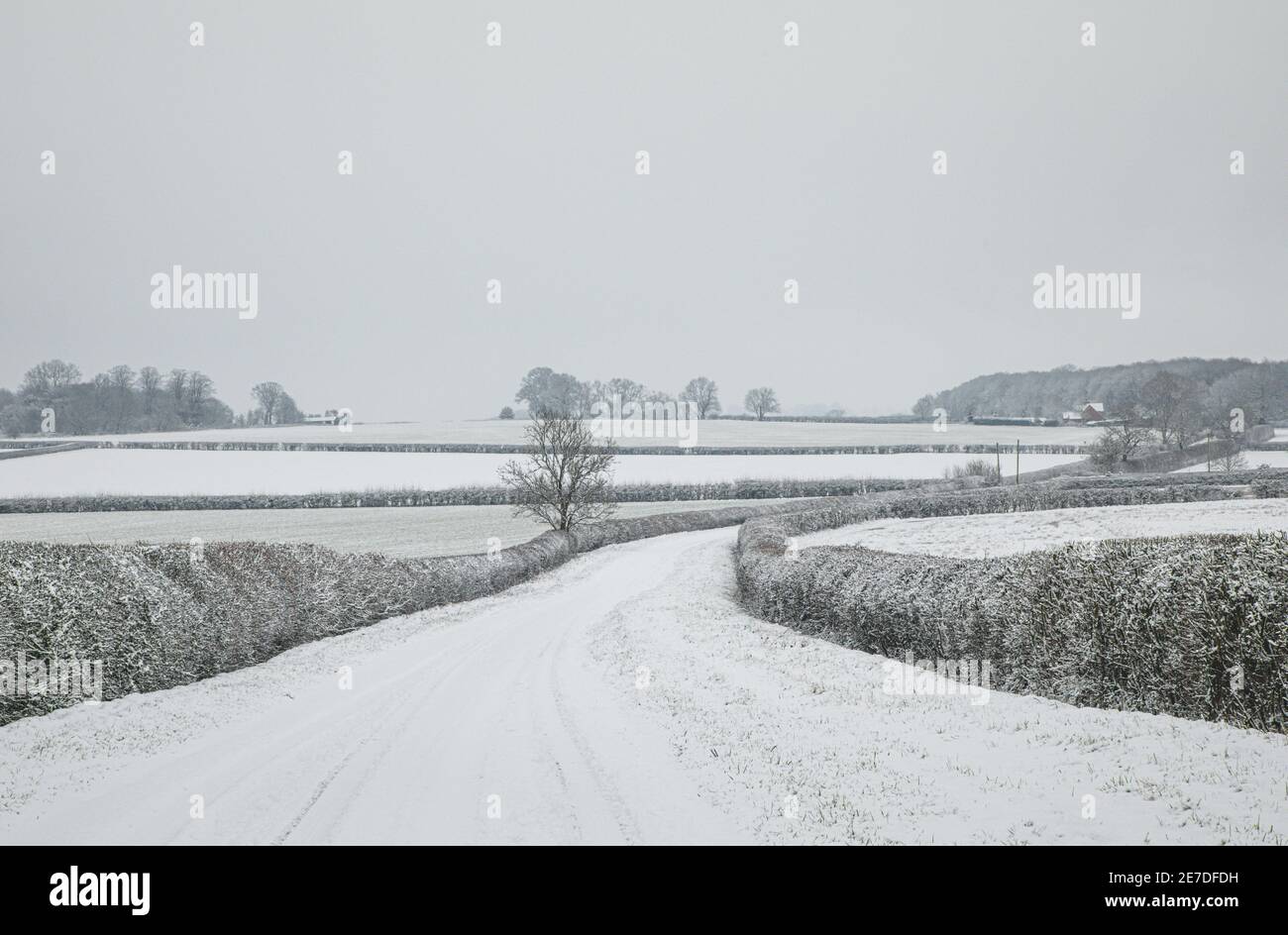 Snowy rural landscape around Chetwode in Buckinghamshire. Stock Photo