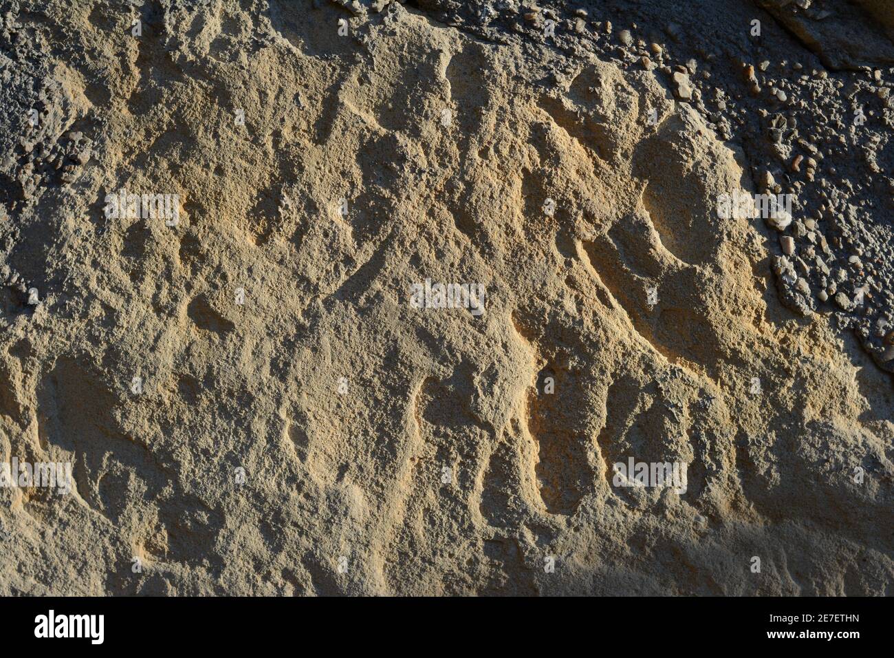 Stone texture close up detail Stock Photo - Alamy