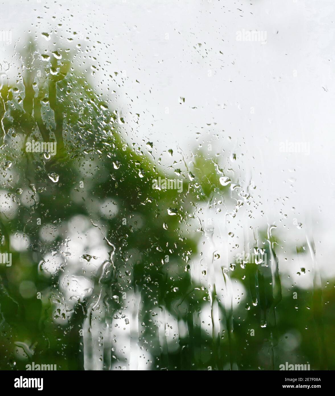 View through the window to garden of house, raining. Rainfall outside