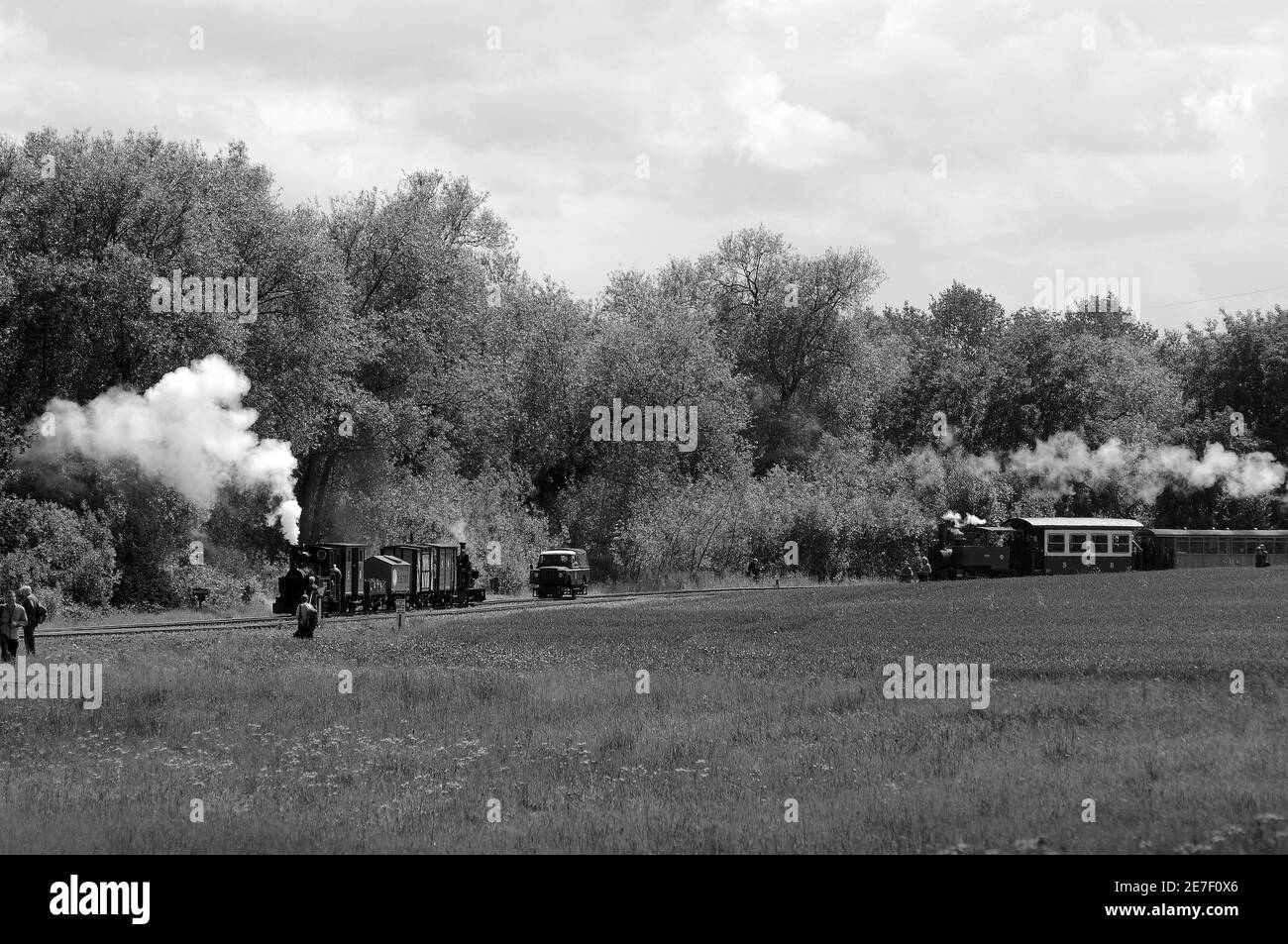 'Marchlyn' (leading) and 'Sybil Mary' (at the rear) with a goods train and the Rail Landrover approach the balloon loop as 'Saccharine' tails a train Stock Photo