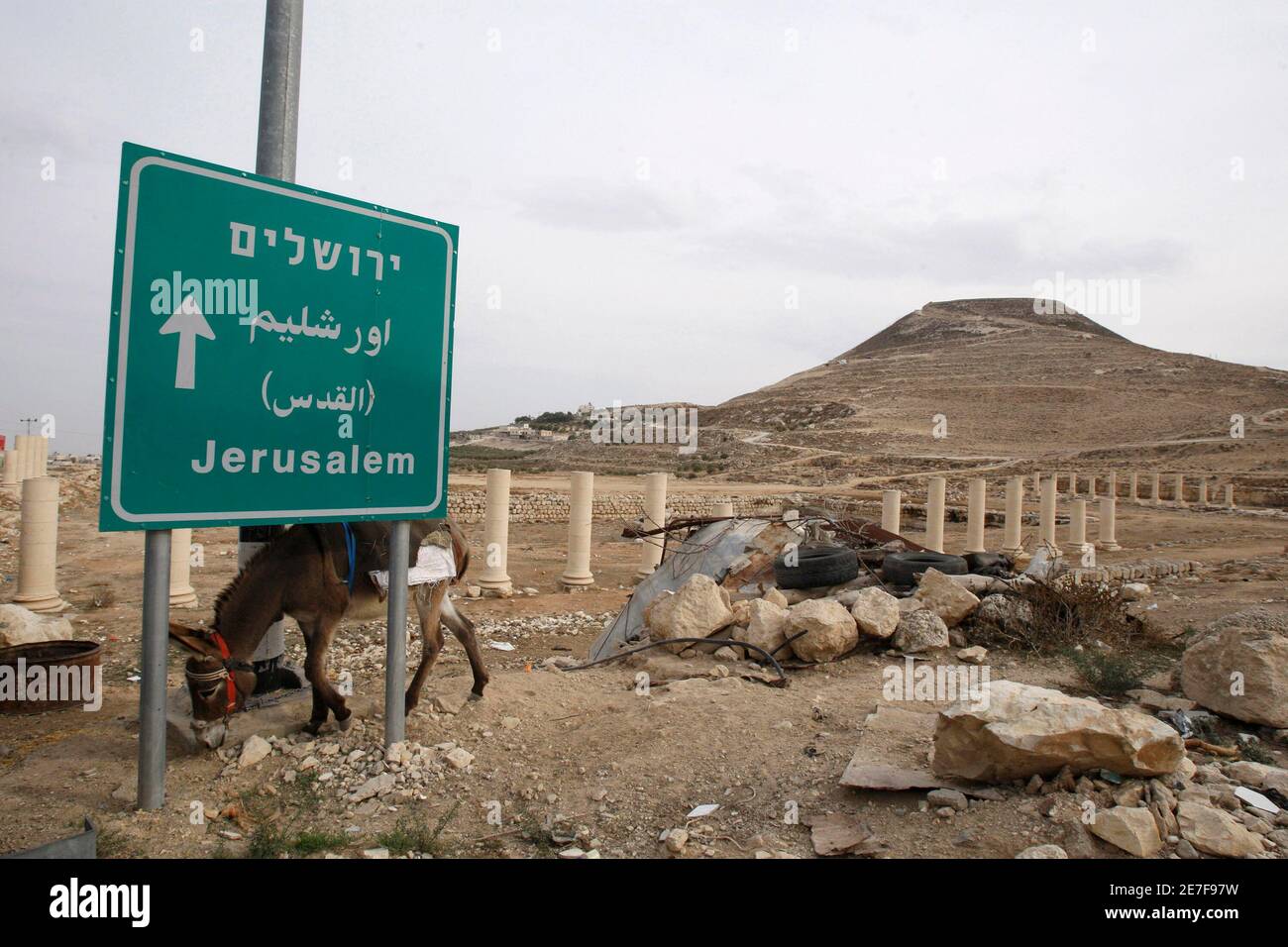 A donkey is seen near the site where Herod's fortress palace once stood, south of the West Bank town of Bethlehem November 19, 2008. An Israeli archaeologist said on Wednesday he had unearthed the 2,000-year-old remains of two sacrophagi in which a wife and daughter-in-law of the biblical King Herod had been interred. The findings announced by Ehud Netzer of Jerusalem's Hebrew University could cast new light on the lavish lifestyle of the Roman-era monarch also known as the 'King of the Jews.'    REUTERS/Baz Ratner (JERUSALEM) Stock Photo