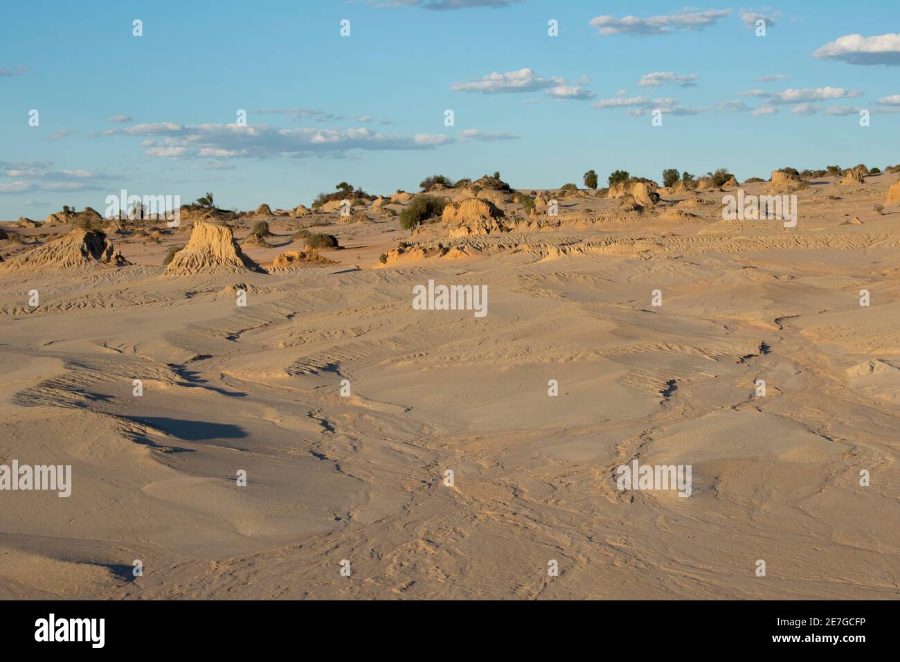 Start a Reservation intelligence overview