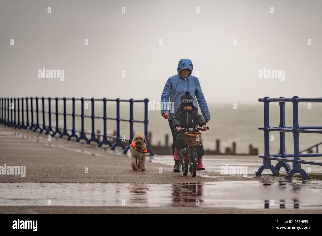 Mother, child and dog out in strong winds and torrential rain on the promenade at Eastbourne seafront, East Sussex, Britain. Stock Photo