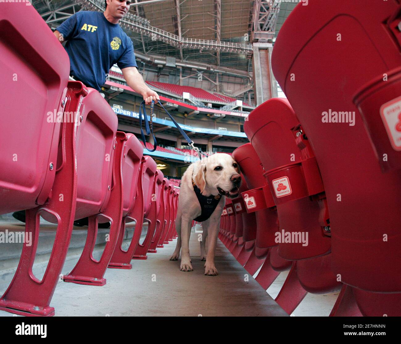 Atf dog hires stock photography and images Alamy