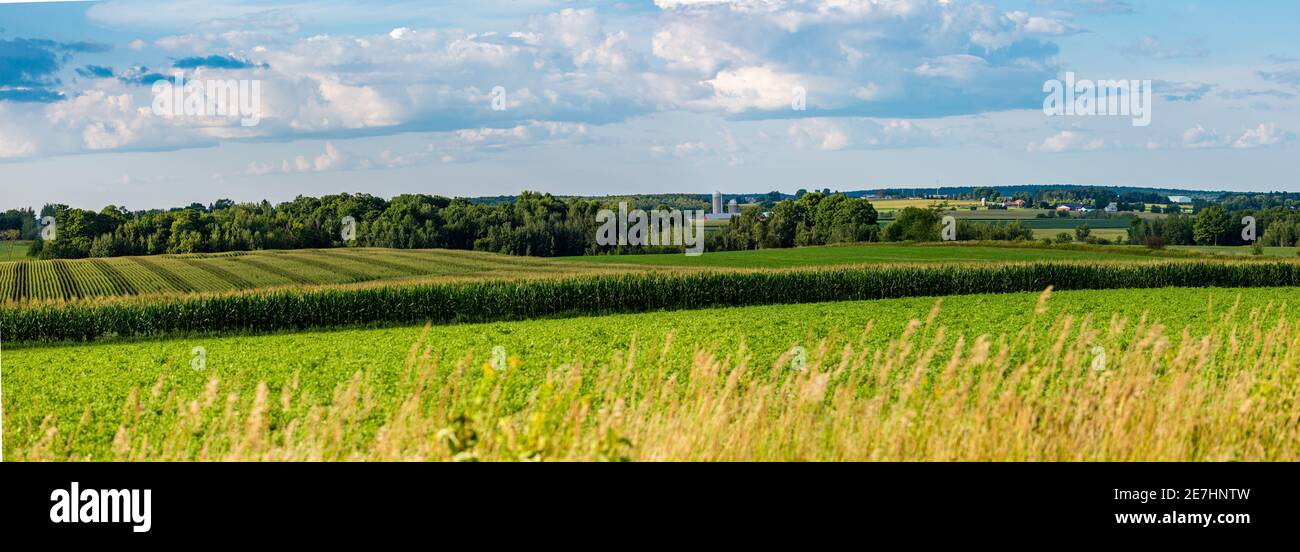 Central Wisconsin farmland in summer, panoramic Stock Photo - Alamy