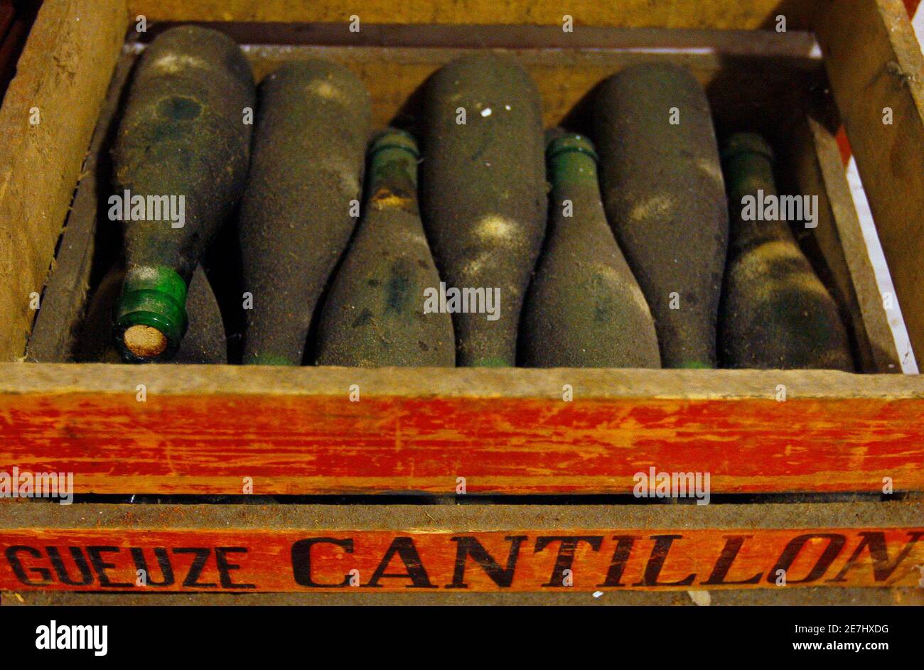 Old bottles of beer are kept in a cellar at a traditional Cantillon brewery in Brussels November 3, 2009. Lambic beer risked dying out a decade ago, but its future is now assured despite being among the most awkward beers to make, store and market. Picture taken November 3, 2009.        To match Reuters Life! BELGIUM-BEER/       REUTERS/Yves Herman (BELGIUM BUSINESS) Stock Photo