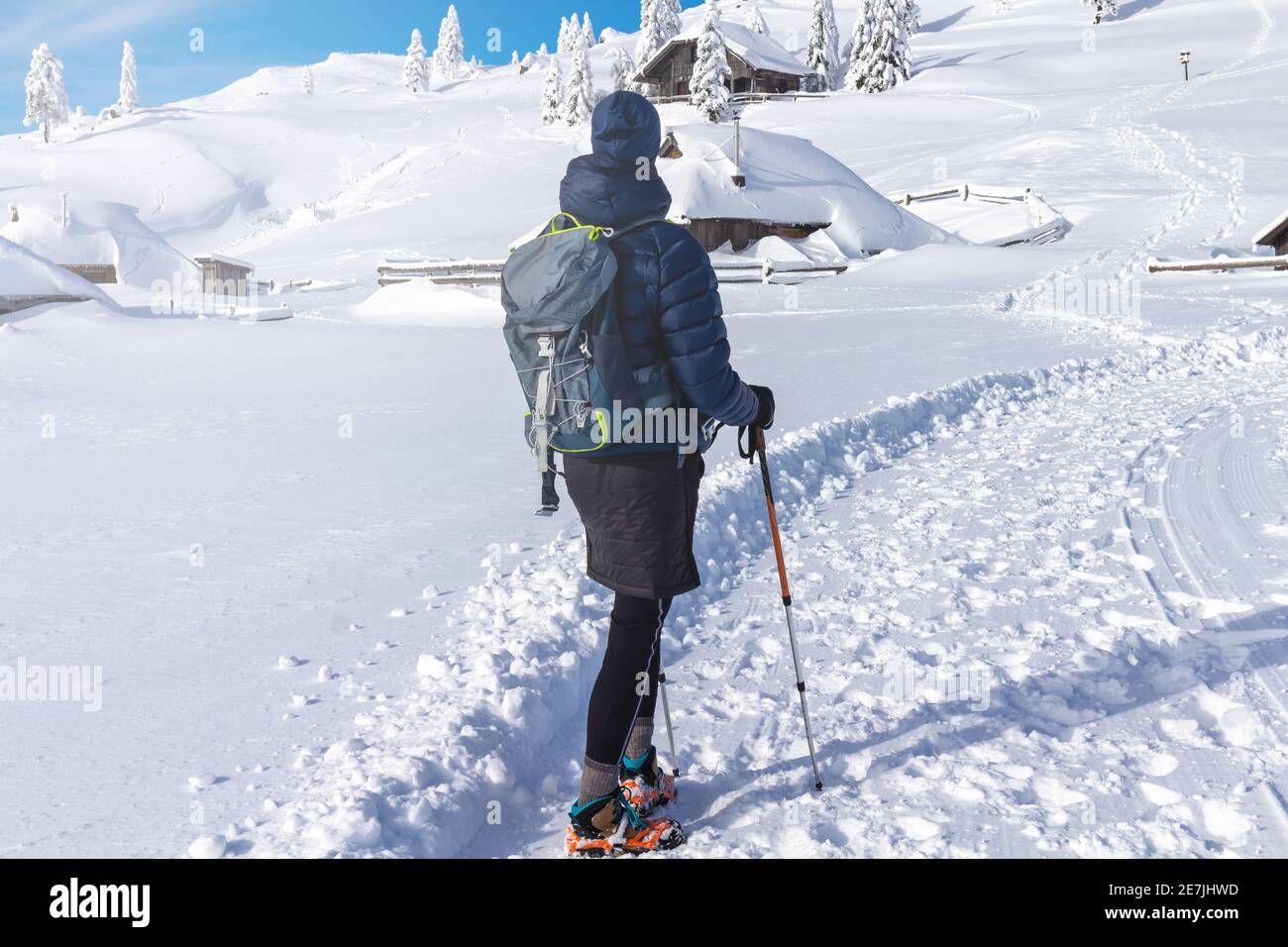 snowshoeing sticks
