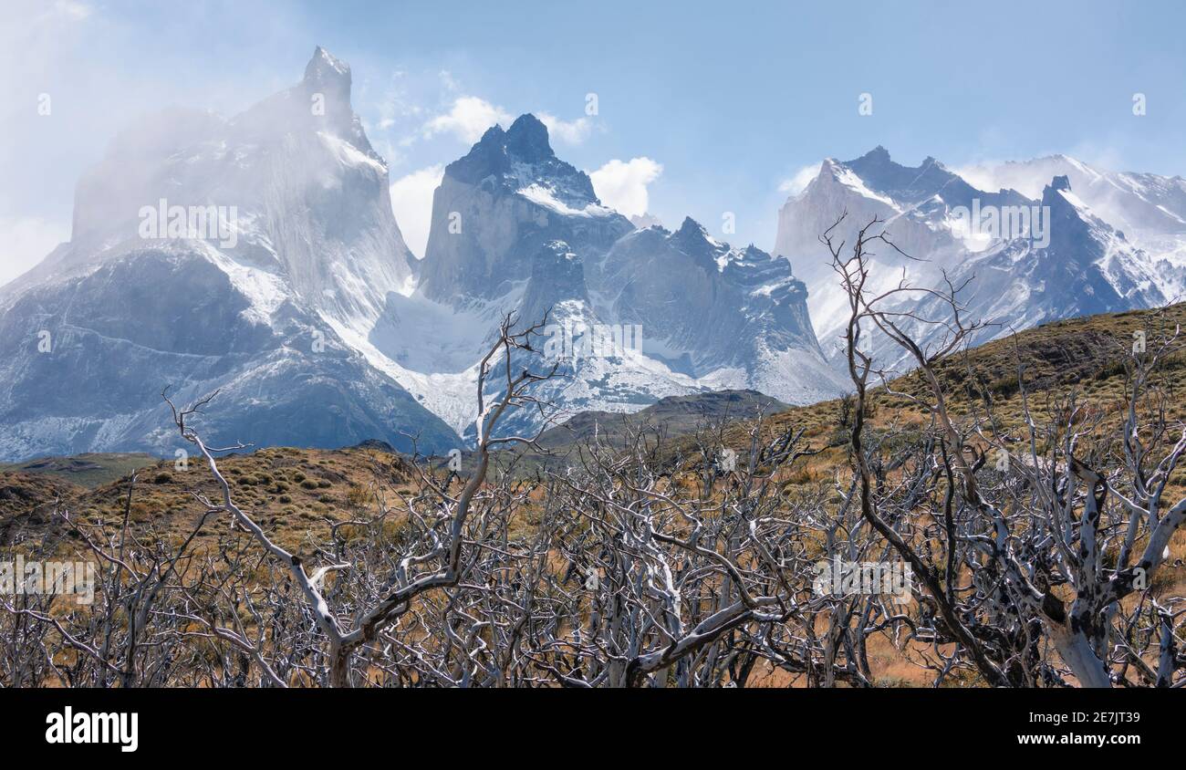The chilean Patagonia Stock Photo