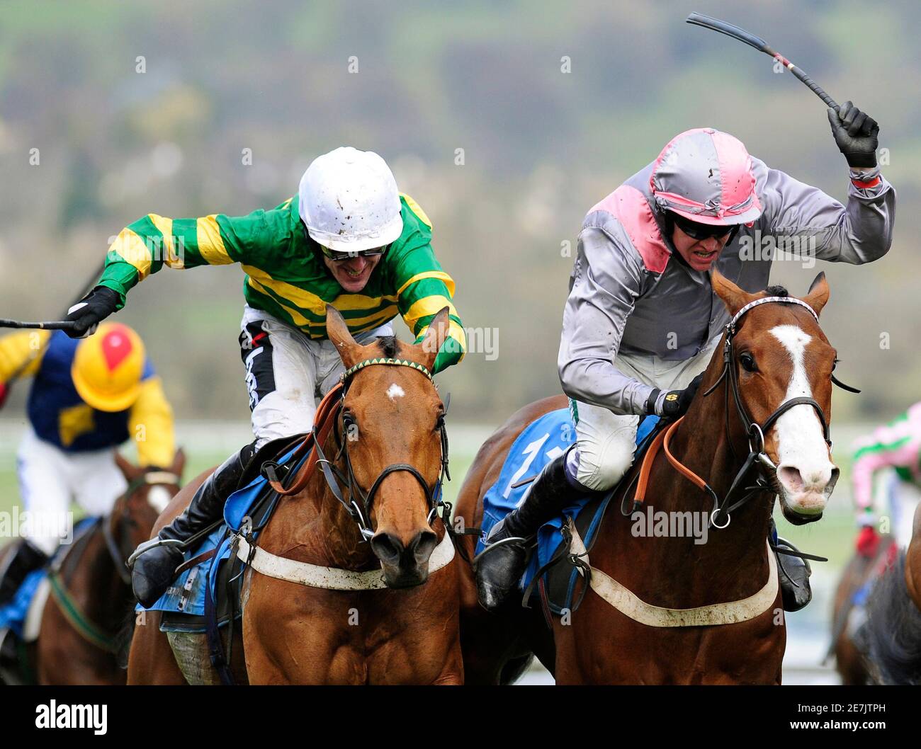 Tony Horse High Resolution Stock Photography And Images Alamy