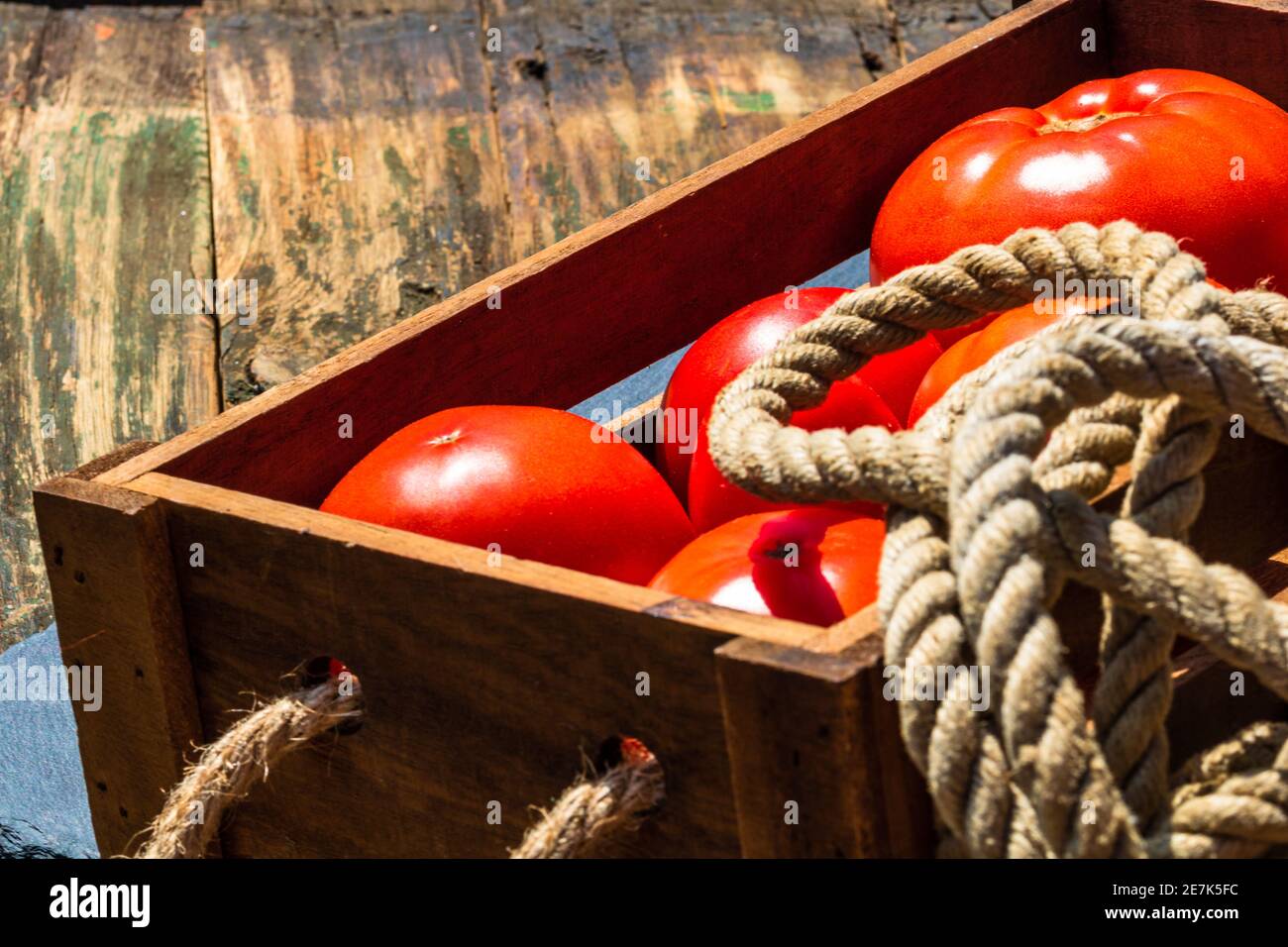 Wooden crate with fresh ripe tomatoes isolated in a rustic composition ...