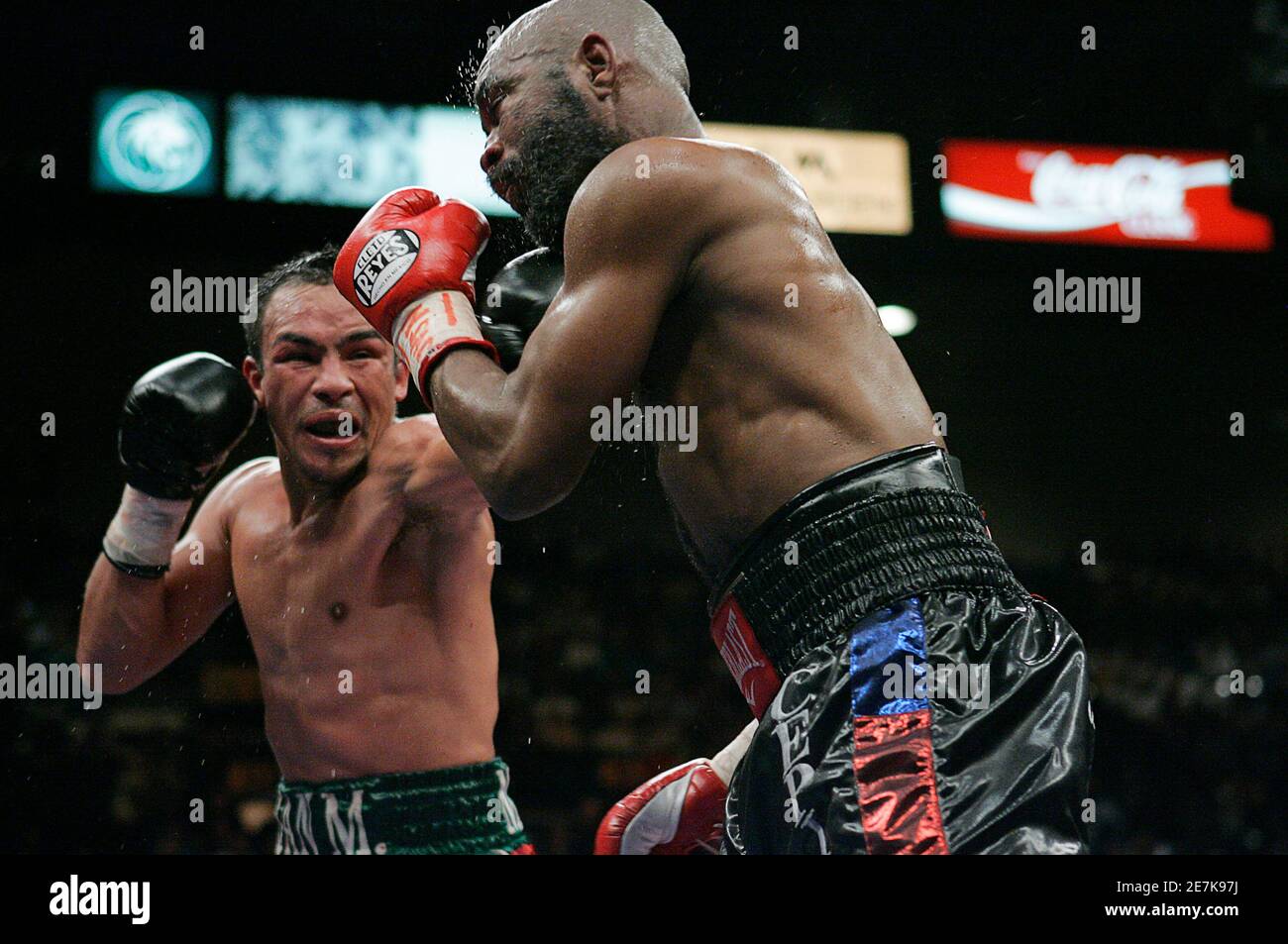 Lightweight Boxer High Resolution Stock Photography And Images Alamy